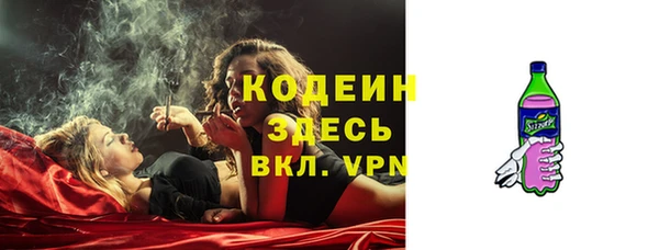 прущие грибы Володарск