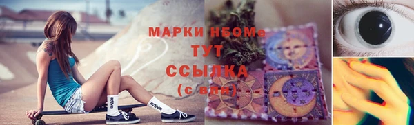 прущие грибы Володарск